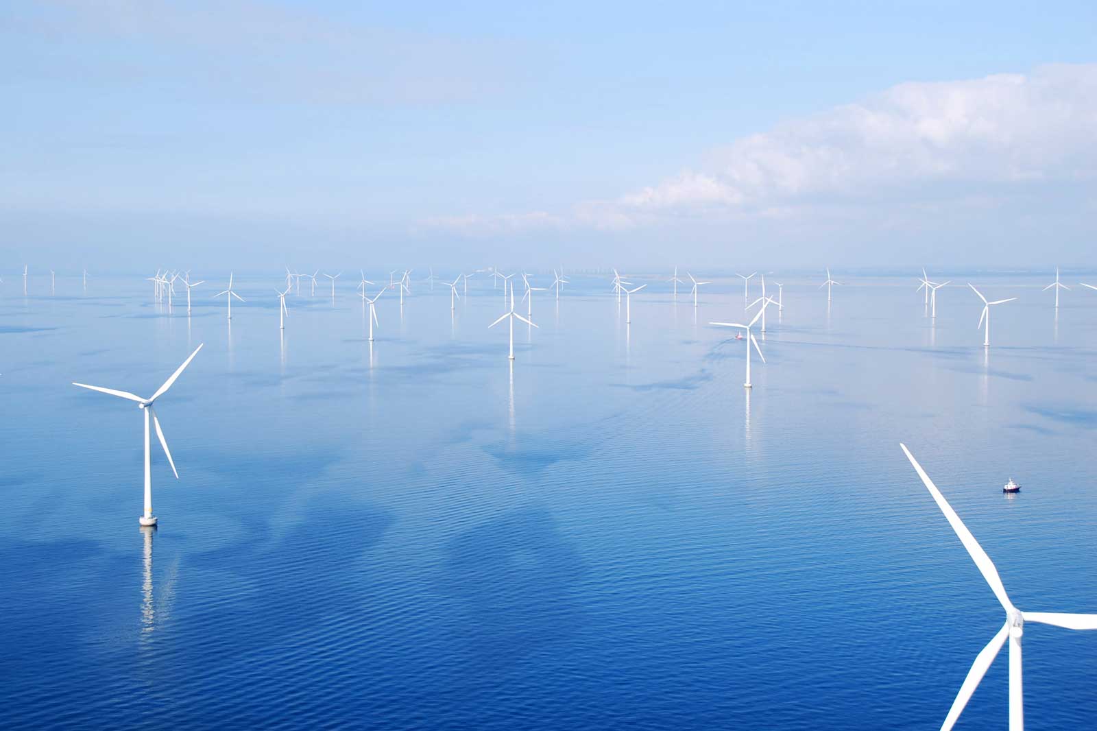 A vast sea with numerous wind turbines gently standing in the water, under a clear blue sky.